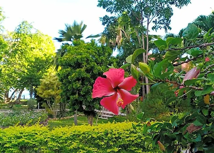 Hotel Ancelle Cristo Re Mandaue